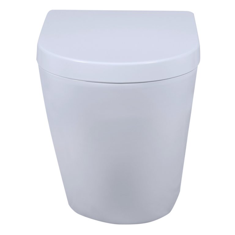 DOCASA Back to Wall Pedestal Water Closet BW2076 - Lian Ann Online Eshop